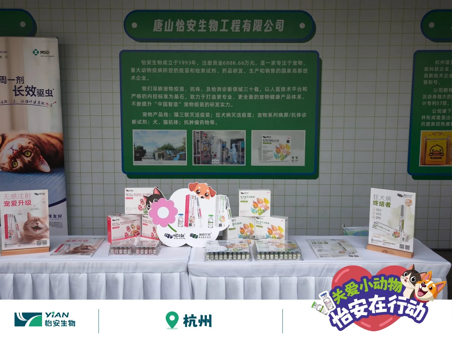 怡安攜狂犬疫苗助力犬風(fēng)鈴行動(dòng)，走進(jìn)浙江_5_怡安生工_來自小紅書網(wǎng)頁版