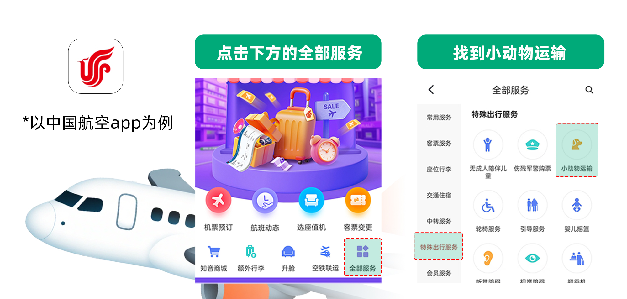 毛孩子可以坐飛機(jī)高鐵啦---小紅書(shū)尺寸