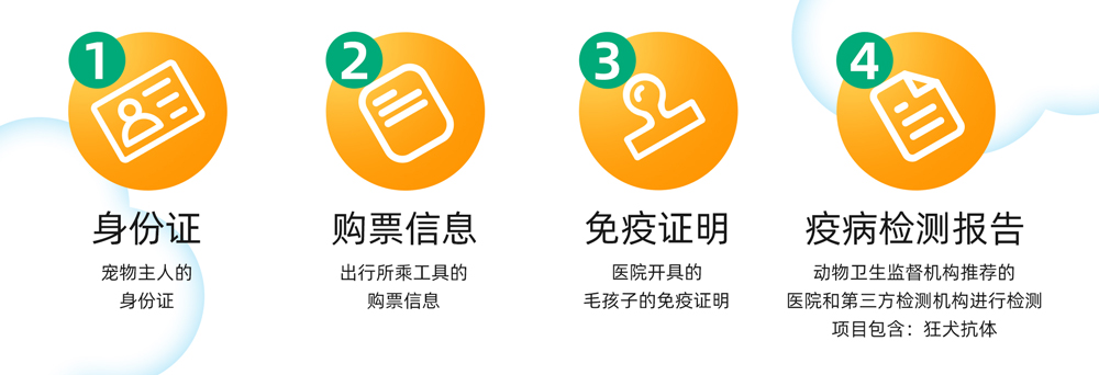 5毛孩子可以坐飛機(jī)高鐵啦---小紅書(shū)尺寸